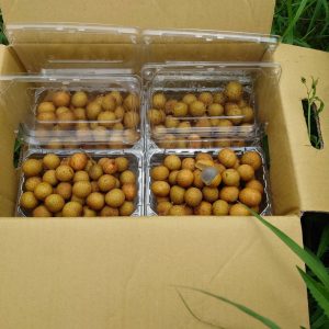 photo_6248894455100847378_y