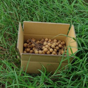 photo_6248996662437590770_y