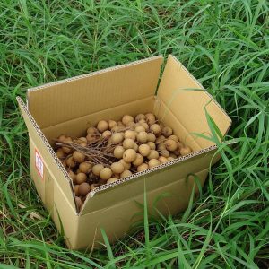 photo_6248996662437590772_y